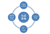 鼎立信诺优势 鼎立信诺优势